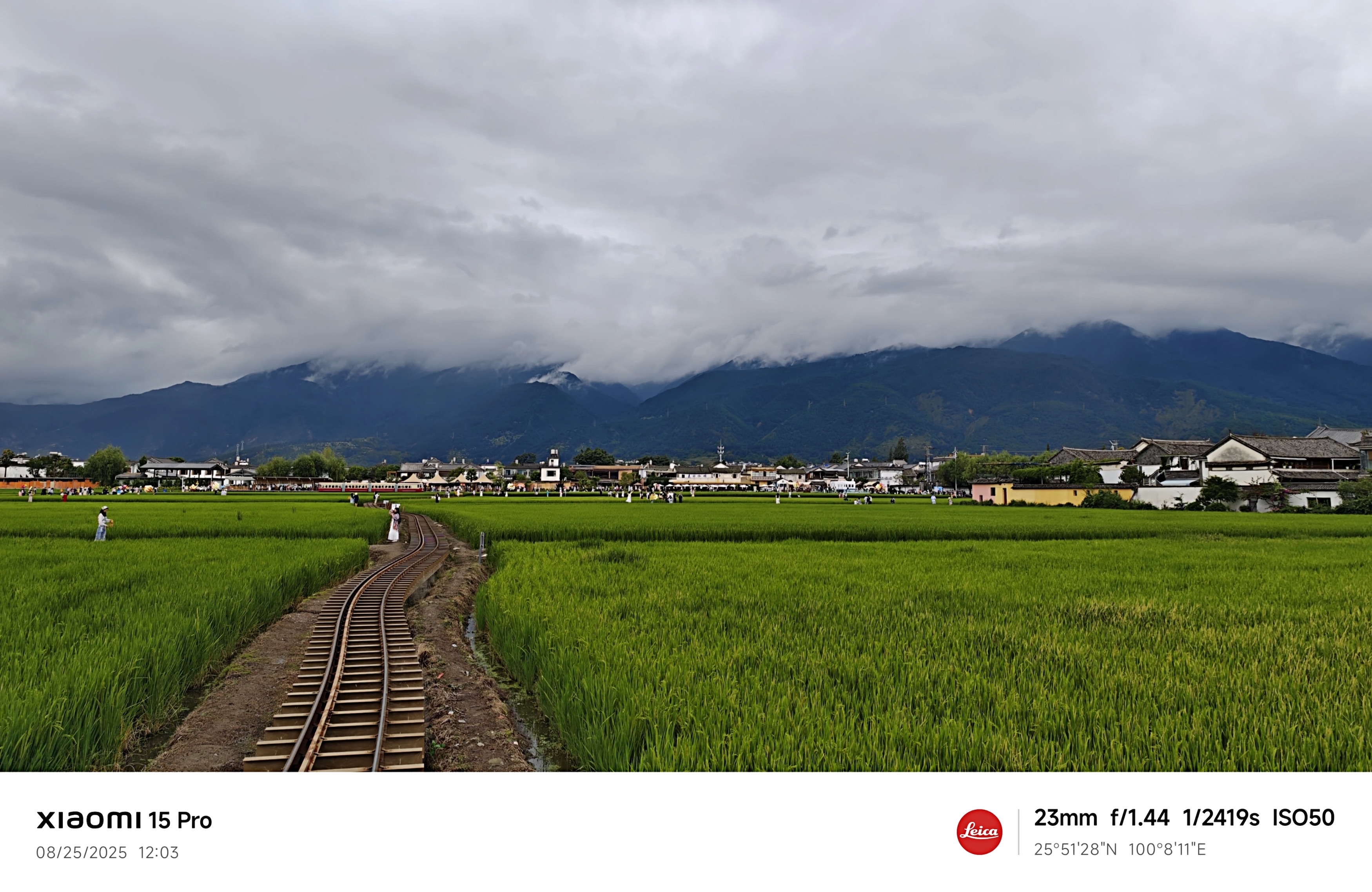 喜洲麦田2